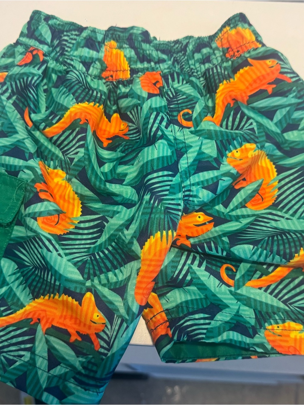 Boys YMI Kids Tropical Chameleon Swim Trunks - Green & Orange